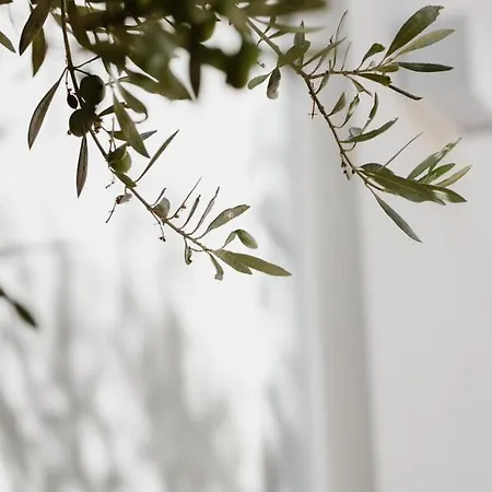 別荘 Cocci Di Tufo Rilievo