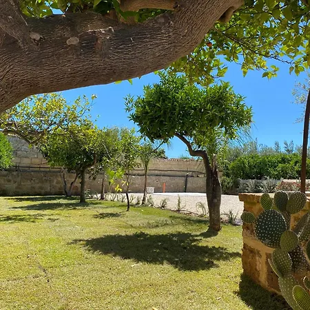 Cocci Di Tufo 別荘