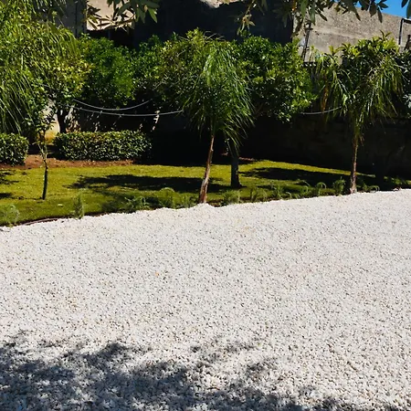 Cocci Di Tufo * Rilievo